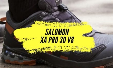 Avis Salomon Xa Pro 3D v8, une chaussure de randonnée et de trail!