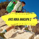 Avis-Hoka-Anacapa-2
